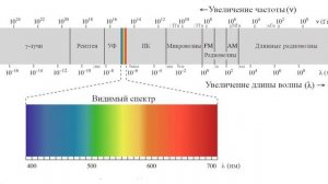 Цветовая теория. Как видит человеческий глаз? Часть 1.