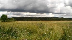 Деревенские пейзажи | Природа России