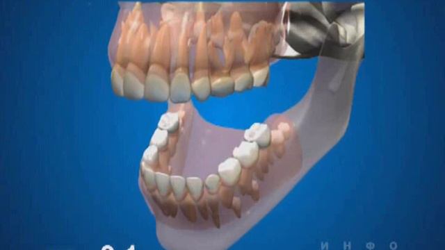 Сроки прорезывания зубов смотреть онлайн