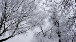 Leise rieselt der Schnee (Christmas Song)