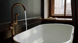 Ник Вуйчич - история успеха и биография