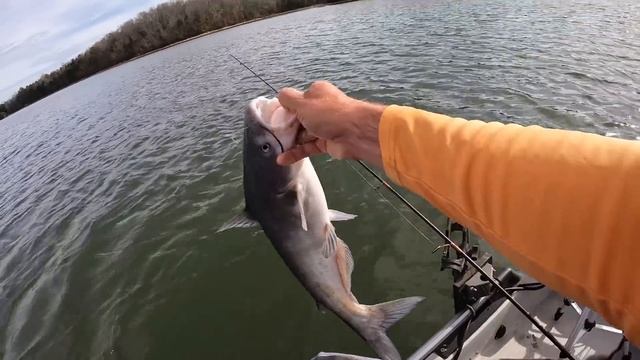 Will This CRAZY Bait Catch A Fish??? смотреть онлайн