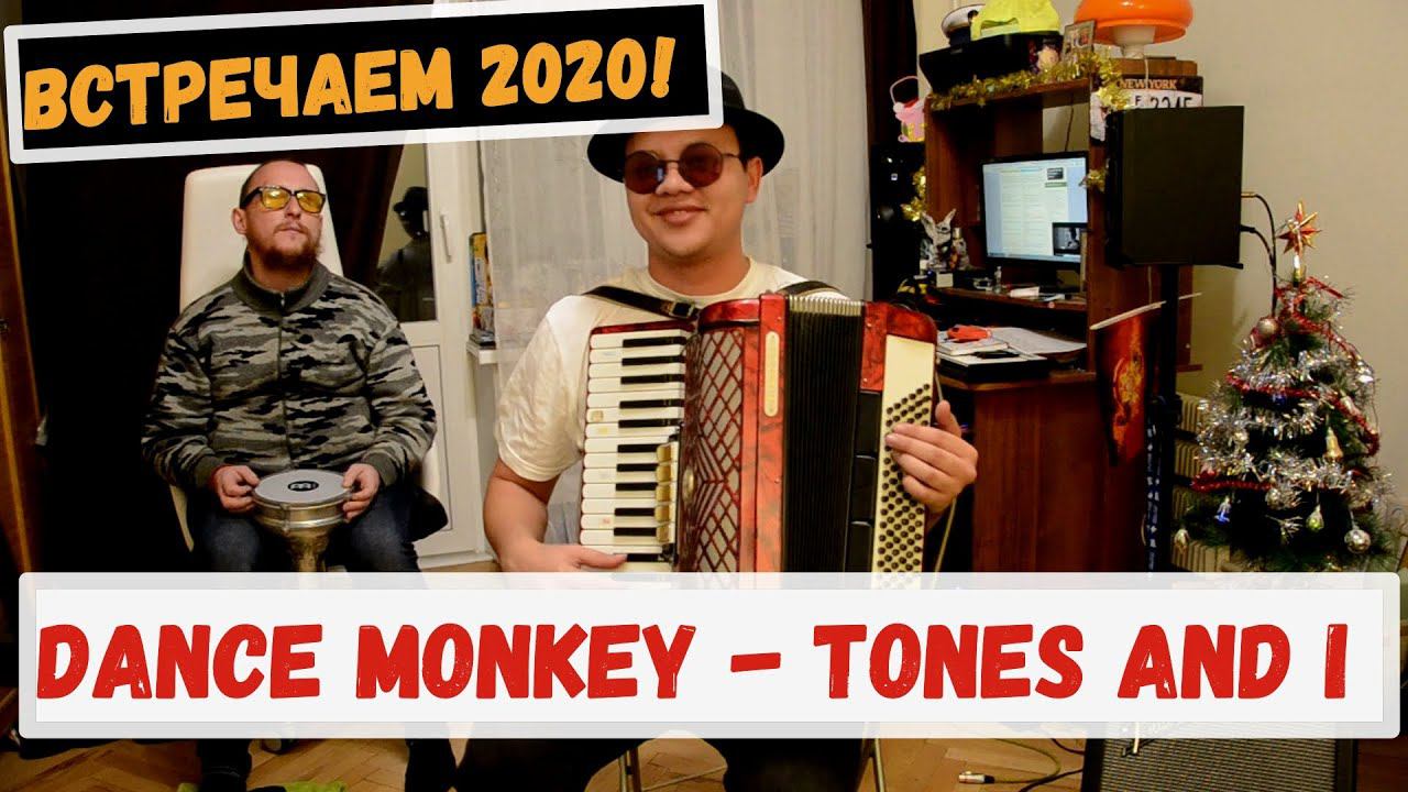 Dance Monkey - Tones and I | На Аккордеоне смотреть онлайн