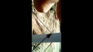 как выставить  и зафиксировать столбы при установки забора и навеса