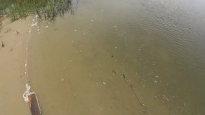 Ох уж эта рыбалка(Дневник рыболова)