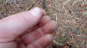 Удачный Коп Царских Монет.