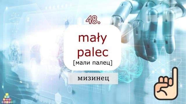 Все части тела на польском. Анатомия человека [подкаст]