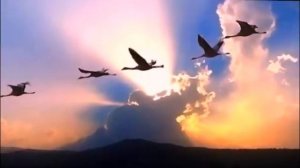 Караваны птиц надо мной летят -  Алла Пугачева