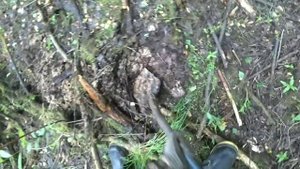 ДЕРЕВЕНСКИЙ ПЕРЕСОХШИЙ ПРУД _ КОП ВДОЛЬ ДОРОГИ, СДАЮ МЕТАЛЛ ПО НИЗКОЙ ЦЕНЕ