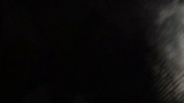 Экскурсия по форту Шанец. 7 часть. 2021. ТМД. смотреть онлайн