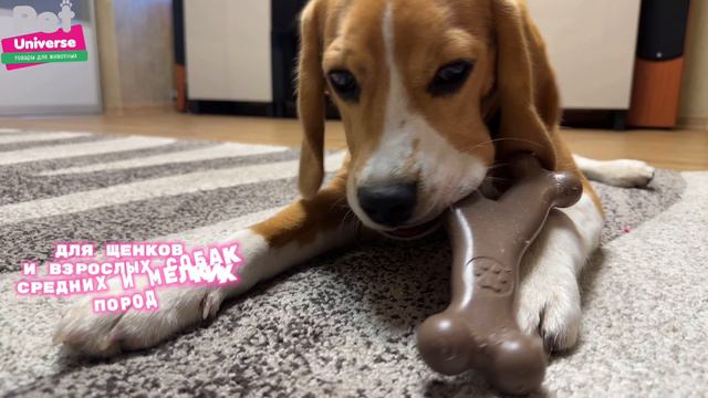 PU8004 Игрушка для собак Pet Universe Кость Y-образная жевательная 13х8,5 см смотреть онлайн