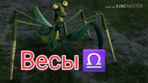 Кто ты по знаку Зодиака из м/ф "Кунг-фу панда"