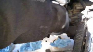 Mazda Tribute 3.0 v6 pcv valve location and removal/replacement