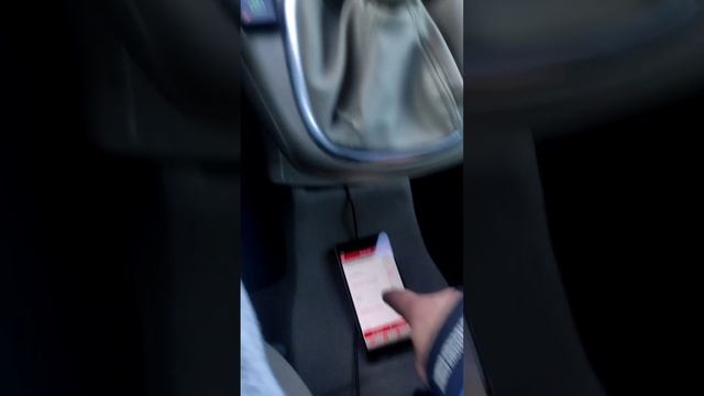 Renault Scenic на АКПП за 4700$ В каком будет состоянии?