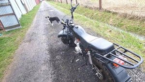 Дрын Ды ды дынь или СКАУТ 3 140 новый дачный Товарищь