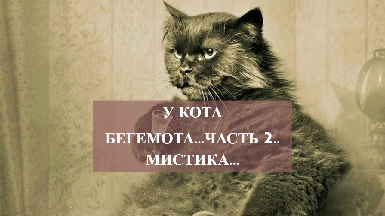 У КОТА БЕГЕМОТА...ЧАСТЬ 2.. МИСТИКА... смотреть онлайн