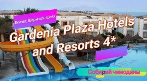Отзыв об отеле Gardenia Plaza Hotels and Resorts 4* (Египет, Шарм-эль-Шейх)