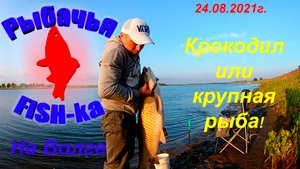 Рыбалка на Волге! Крокодил или крупная рыба!