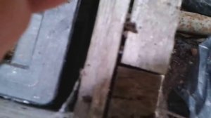 дендробена на даче,Разведение червей.