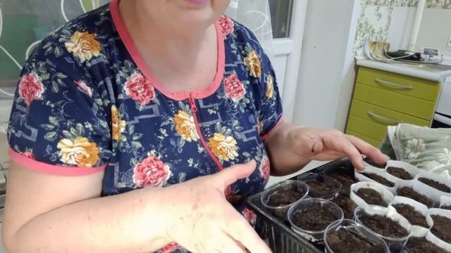 Что нужно и нельзя при посеве сельдерея и базилика.17 марта 2022 год. #базелик#сельдерей