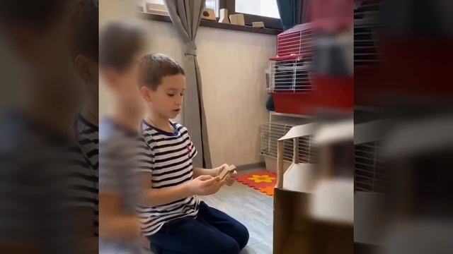 Вторая жизнь картонной коробки смотреть онлайн