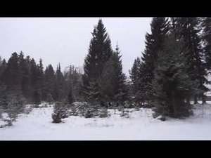 Тишина и покой - исполняет Аверьянов Сергей