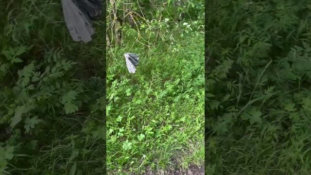 Всегда найдется что-то, чего лошадь может ИСПУГАТЬСЯ!