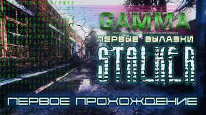 STALKER Anomaly /// GAMMA ▶ Первые вылазки ▶ 03