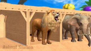 Paint and Animals Gorilla, Elephant, Lion, Tiger, Dinosaur | Fountain Crossing | Cartoon Animal
