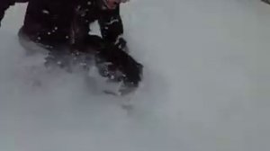 Tellie powder skiing in 10 inches