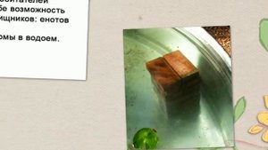 Как сделать пруд своими руками