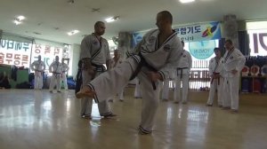 Europe Hapkido Team in Korea 2016 - DAY 4