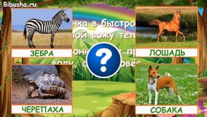 Загадки для детей | ЗАГАДКИ ПРО ЖИВОТНЫХ - Часть 1