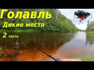 За голавлем в дикие места. 2 часть