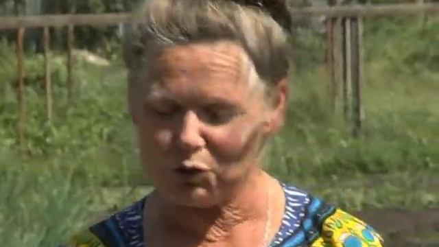 Рубрика "ЗаДачник": "горе луковое" смотреть онлайн