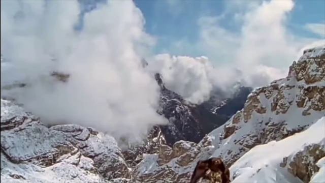 Орёл