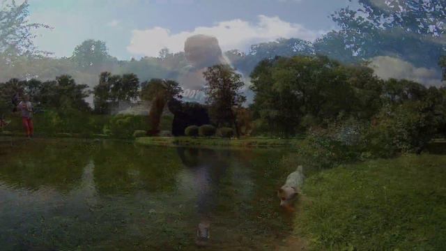 Чайный Пес смотреть онлайн