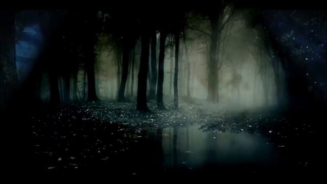 Blackmores Night  Darkness