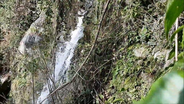 Muhteşem güzelliği ile kardelen(Galanthus sp.)/Snowdrop in Arhavi, Artvin. смотреть онлайн