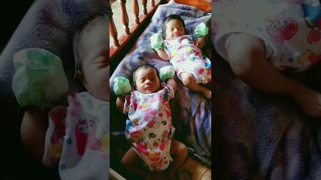 💕💕 #ต้าวแฝด смотреть онлайн