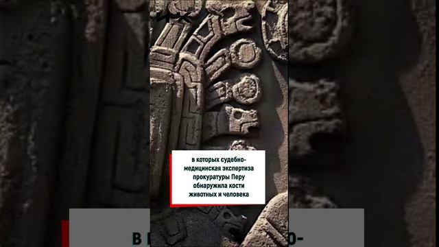 Мумии инопланетян из Перу, НЛО, инопланетяне, Перу, лженаука, хрустальный череп, шапочка из фольги