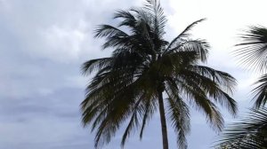 Sol Rio de Luna y Mares resort, Cuba