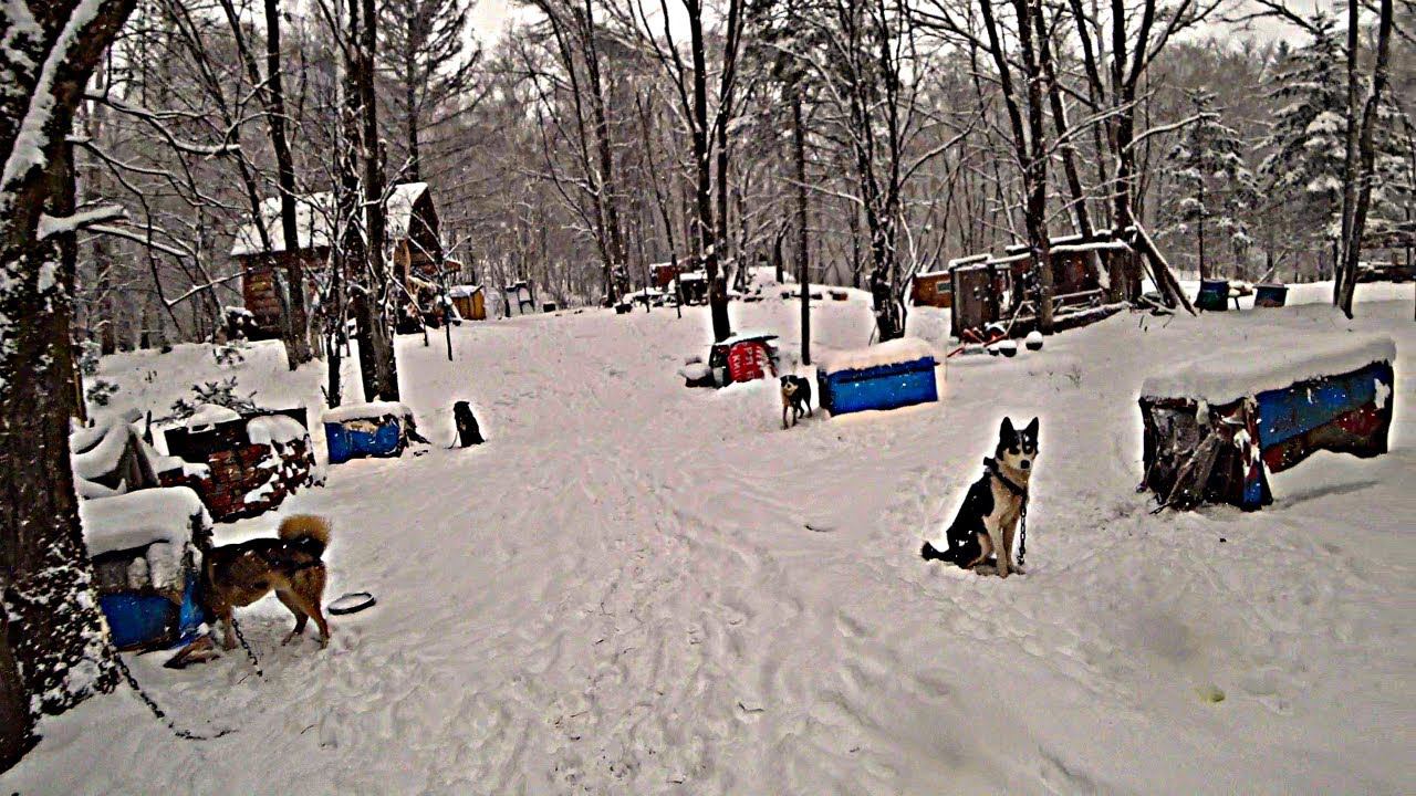 БЫТ В ТАЙГЕ ДАЛЬНЕГО ВОСТОКА, ГОТОВИМ ОЧЕНЬ ВКУСНОЕ МЯСО. Иваныч уехал домой. смотреть онлайн