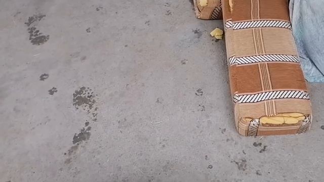 Утренний сон на курорте:) Ругаю Болика ! смотреть онлайн