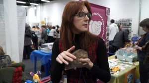 Декоративные крысы I