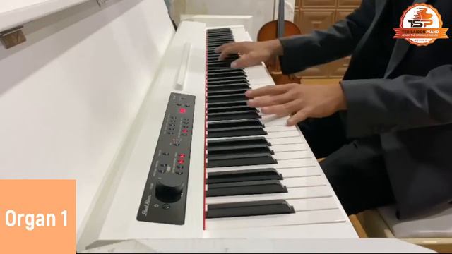Review Piano điện Pearl River PRK300 - TED SAIGON PIANO смотреть онлайн