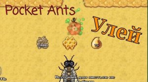 Полное прохождение УЛЬЯ без прокачек СКОРОСТИ и ВРЕМЕНИ! | Pocket Ants.