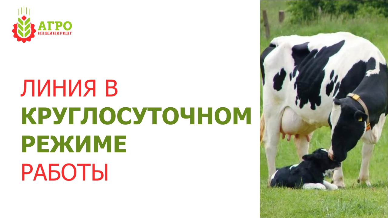 Показываем работающую линию экструдирования на примере Племзавода Трудовой.