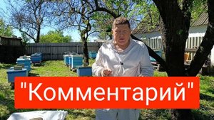 Замена породы пчел на пасеке Злые пчелы. Как сделать это 100% за один пчеловодный сезон.