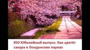 #50 Юбилейный выпуск. Прогулка по Лондонским паркам и сакура в жизни!